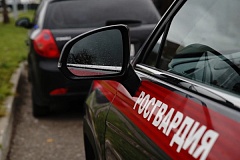 В Москве росгвардейцы задержали нетрезвого водителя, ставшего виновником ДТП
