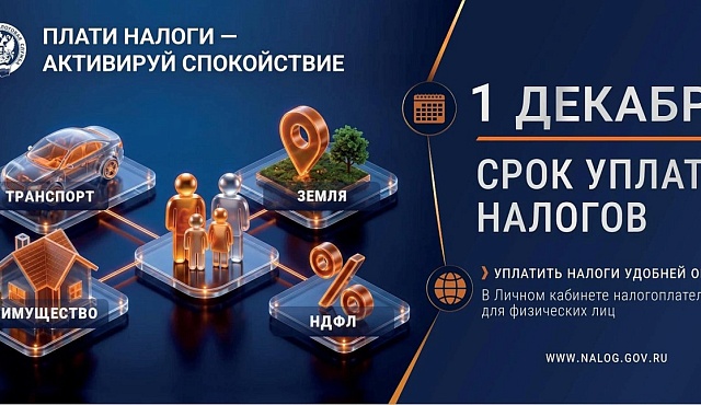 До 1 декабря декабря срок уплаты налогов